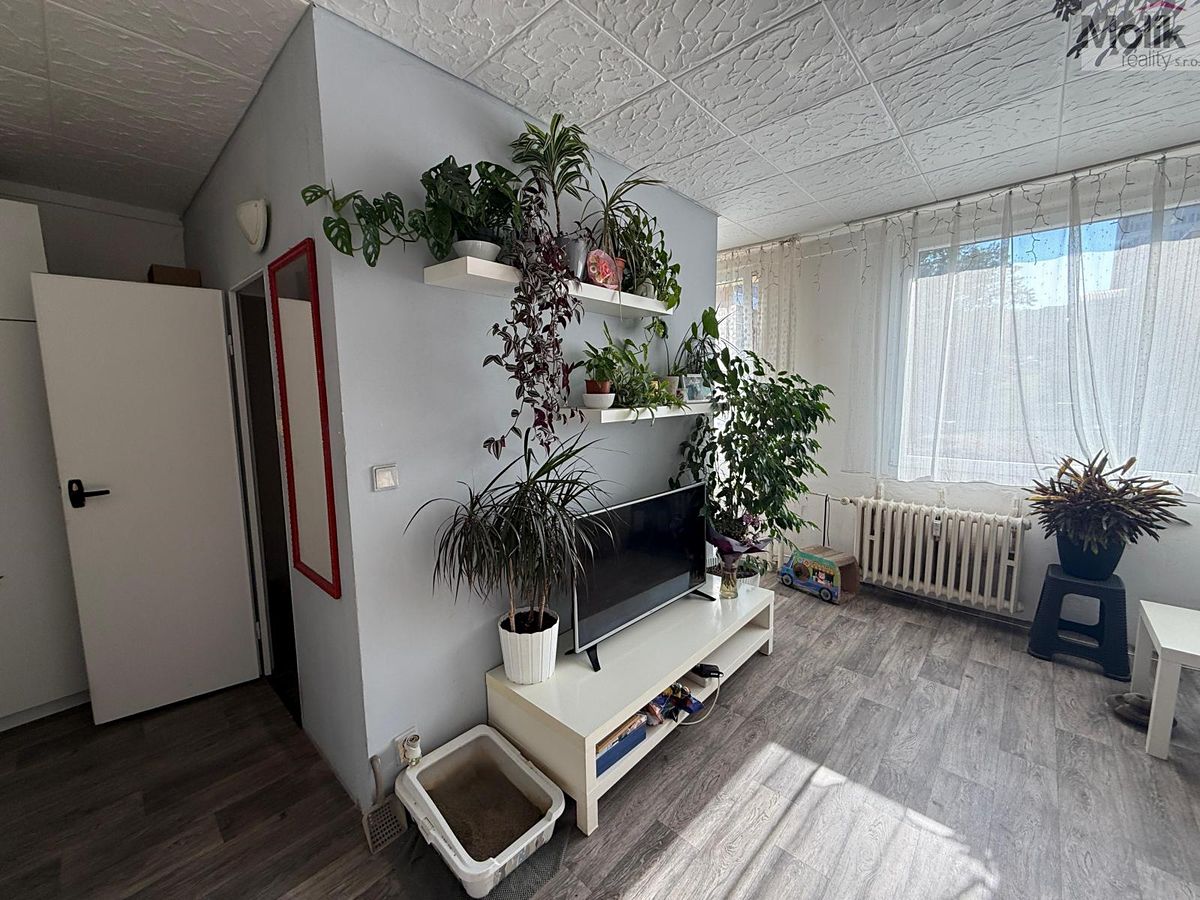 Pronájem bytu 1+1 26 m² – fotografie 3