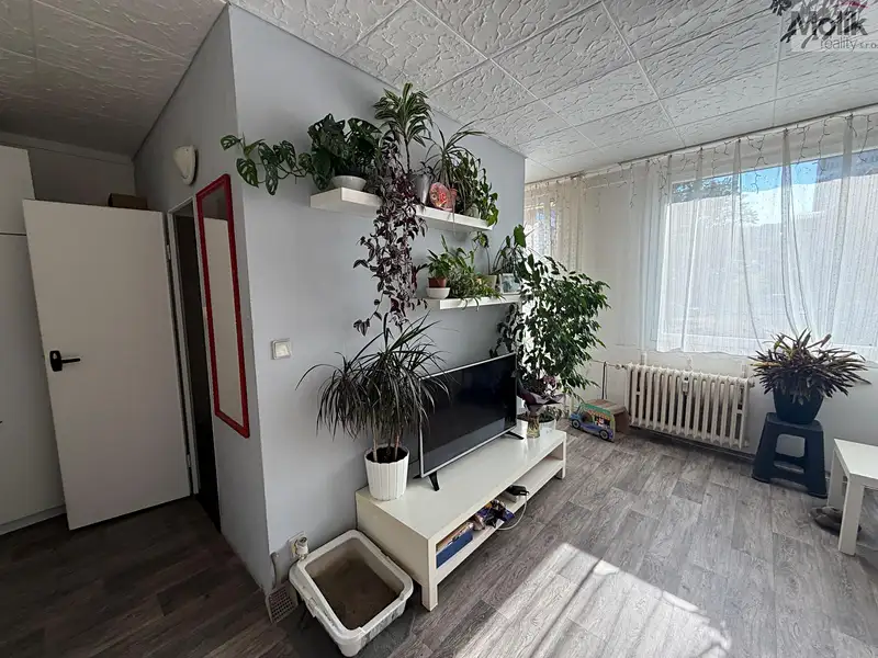 Pronájem bytu 1+1 26 m², Most – náhled fotky 3