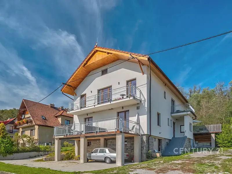 Prodej rodinného domu 489 m², pozemek 1369 m², Županovice – náhled fotky 1
