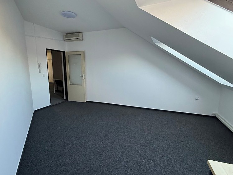 Pronájem nemovitosti, 19 m² (2 z 4)
