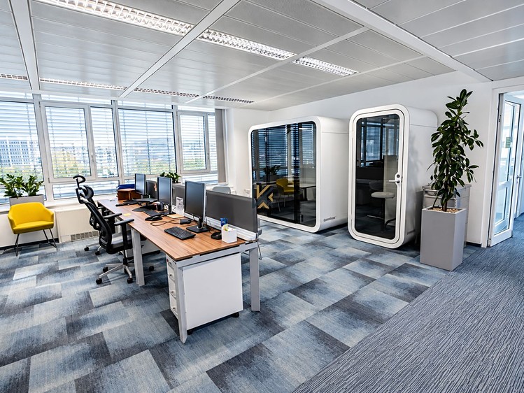 Pronájem komerčního prostoru, 325 m² (5 z 11)