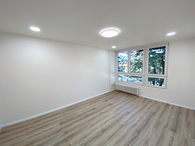 Pronájem bytu 1+1, 35 m² (3 z 7)