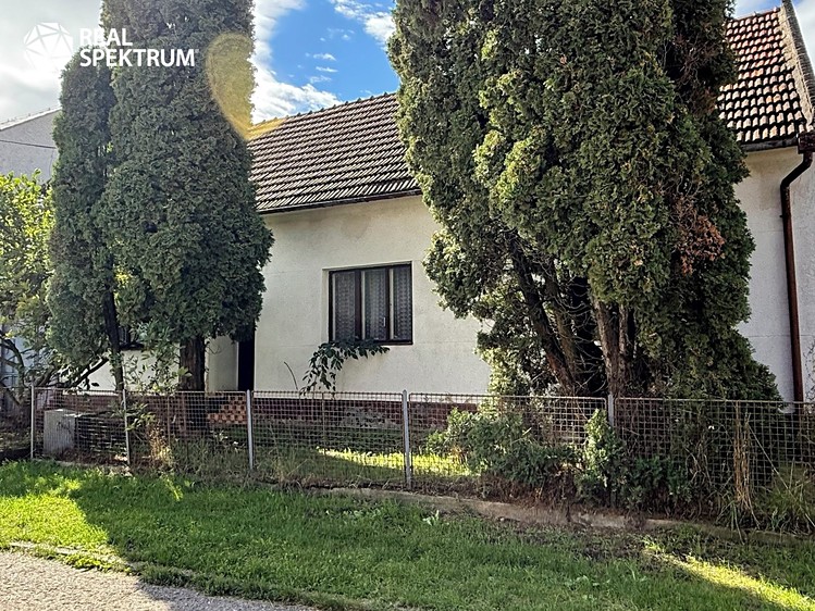 Prodej domu, 130 m² (4 z 18)