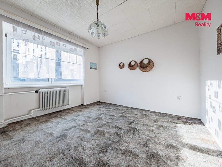 Будинок на продаж, 365 м² (9 з 29)