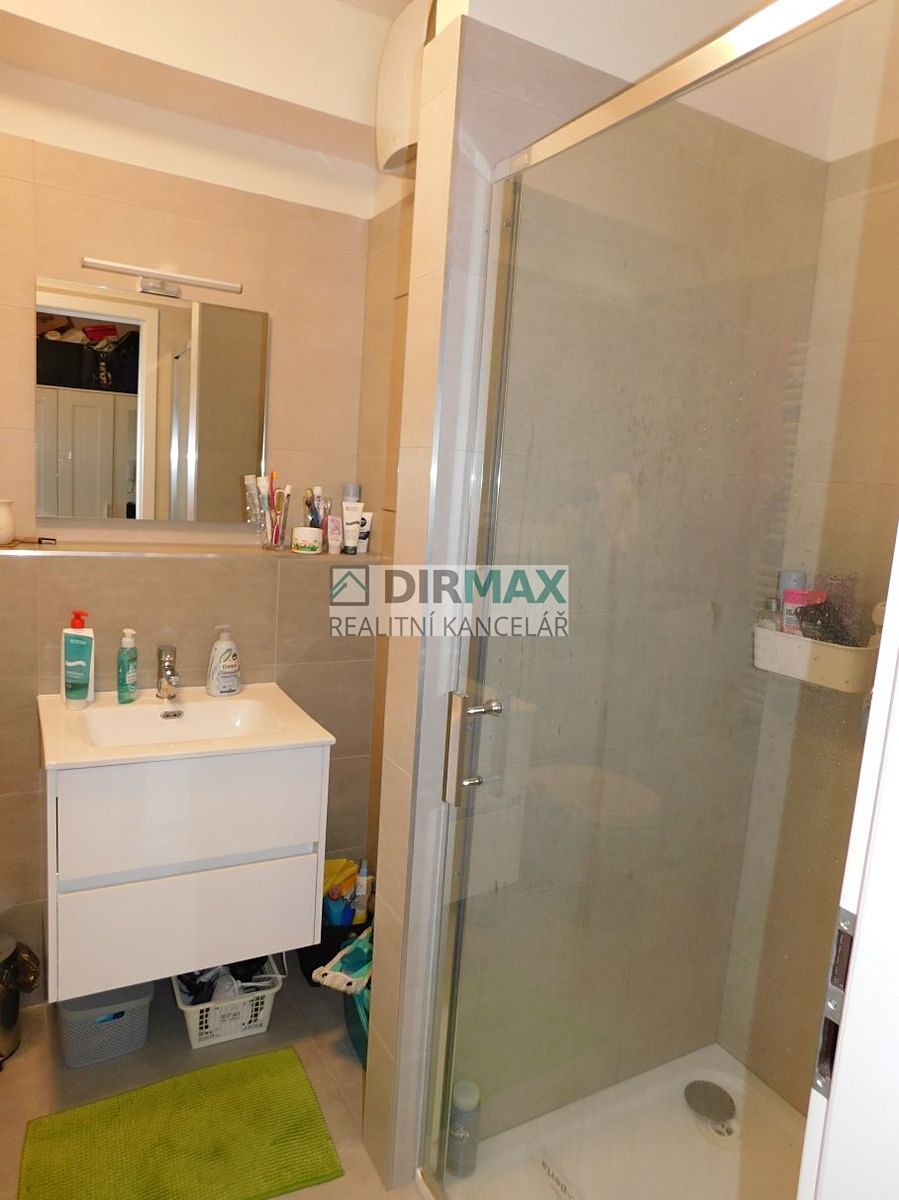 Pronájem bytu 1+kk 41 m² – fotografie 5