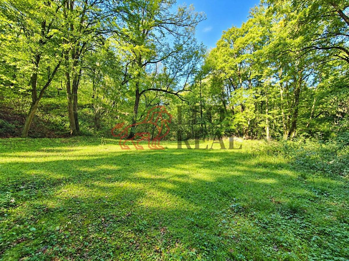 Prodej chaty 30 m², pozemek 1146 m² – fotografie 5