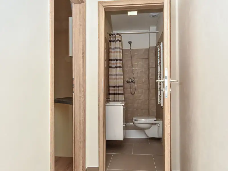 Pronájem bytu 2+kk 37 m², Plzeň – náhled fotky 2
