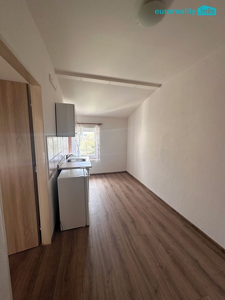 Pronájem bytu 1+1 40 m² – fotografie 4