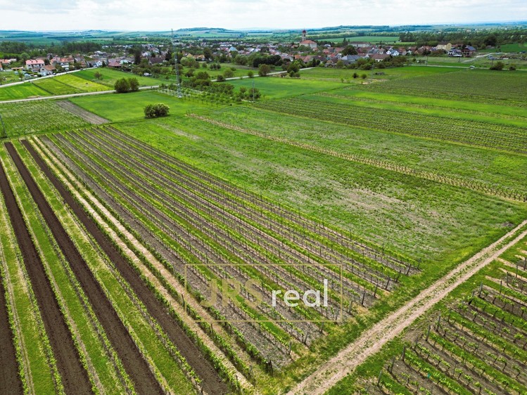 Ostatní