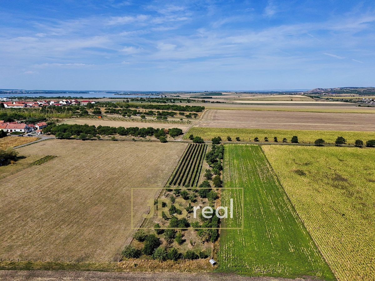 Prodej zahrady 1610 m², Šakvice – fotka 1 z 3