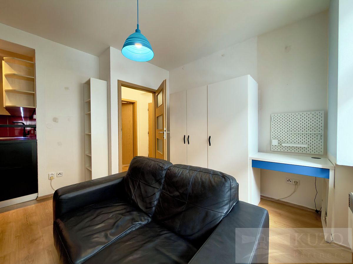 Pronájem bytu 1+kk 25 m² – fotografie 5