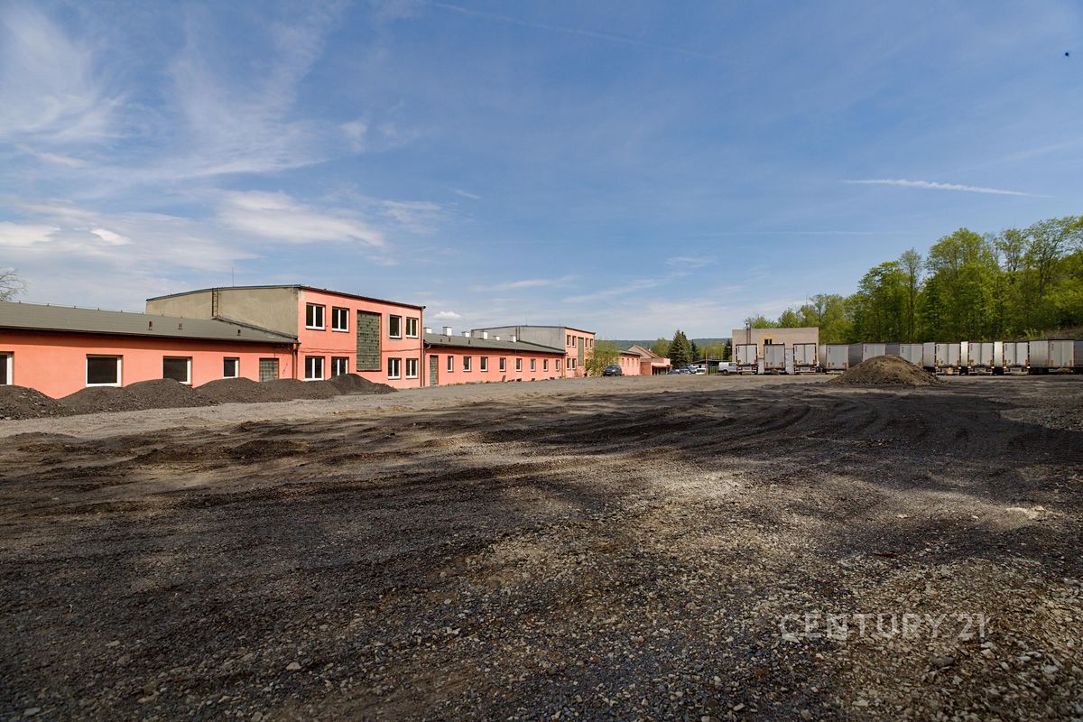 Pronájem pozemku 4000 m² – fotografie 3