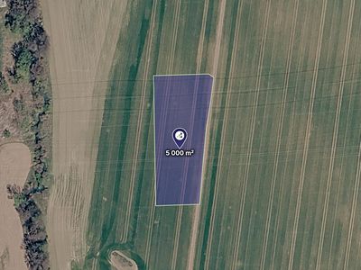 Prodej pole 5000 m²