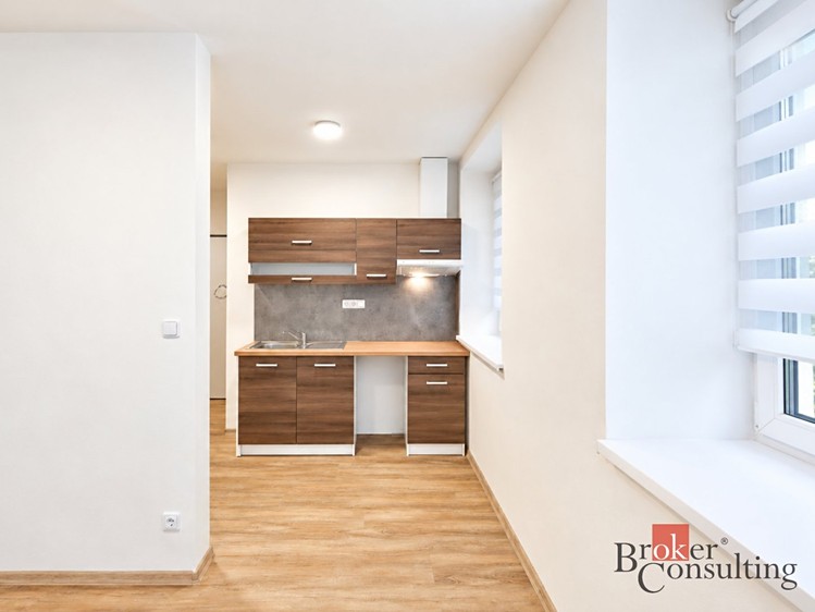 Wohnung 1+kk zur Miete, 28 m² (4 von 16)