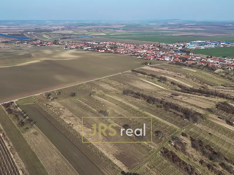 Prodej sadu, vinice 4065 m², Brumovice – náhled fotky 2