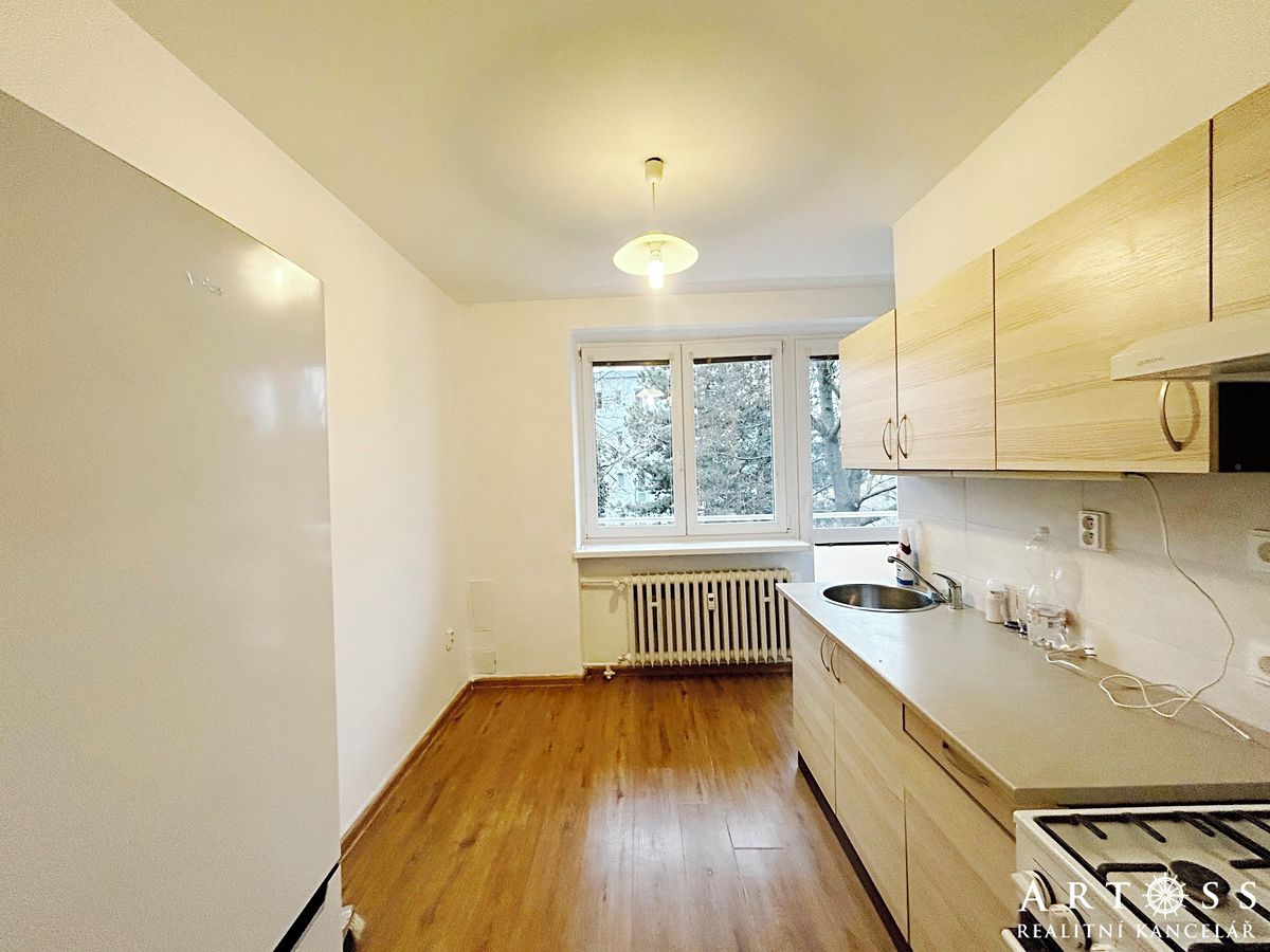 Pronájem bytu 1+1 40 m² – fotografie 4