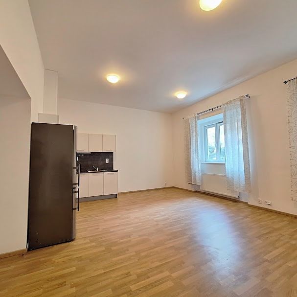 Pronájem bytu 1+kk 45 m² – fotografie 2