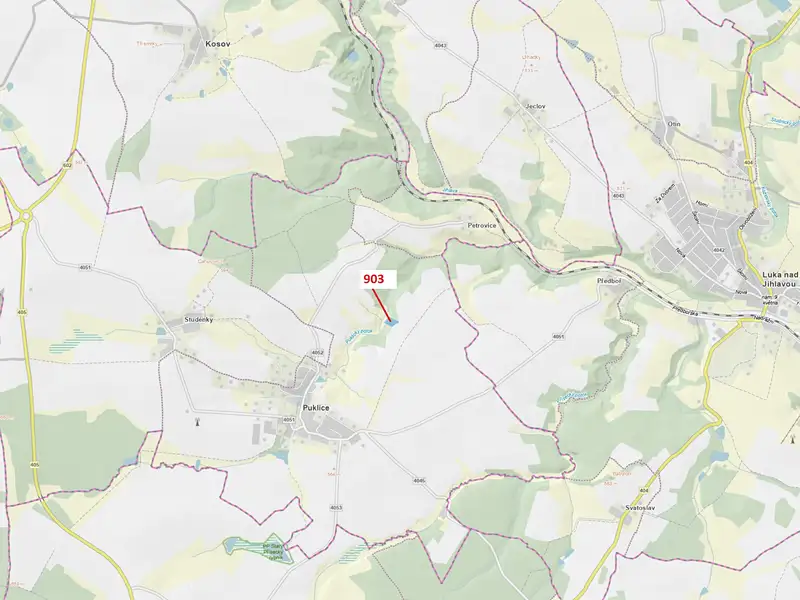 Dražba lesa 4900 m², Puklice – náhled fotky 1