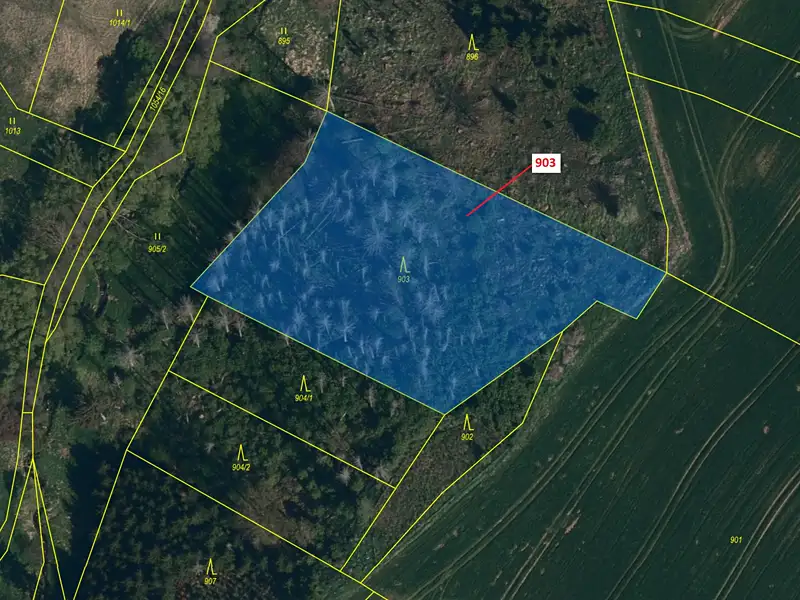 Dražba lesa 4900 m², Puklice – náhled fotky 2