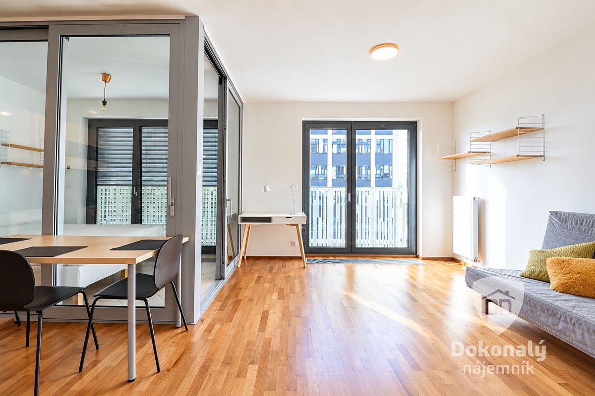 Pronájem bytu 1+1 48 m² – fotografie 4
