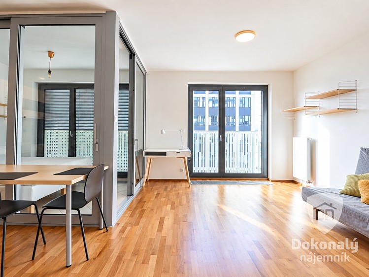 Pronájem bytu 1+1, 48 m² (4 z 18)
