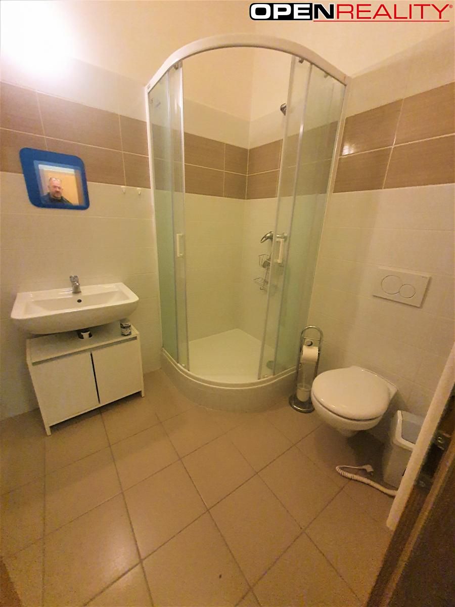 Pronájem bytu 1+1 33 m² – fotografie 3