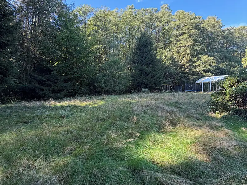 Pronájem zahrady 2057 m², Frýdštejn – náhled fotky 1