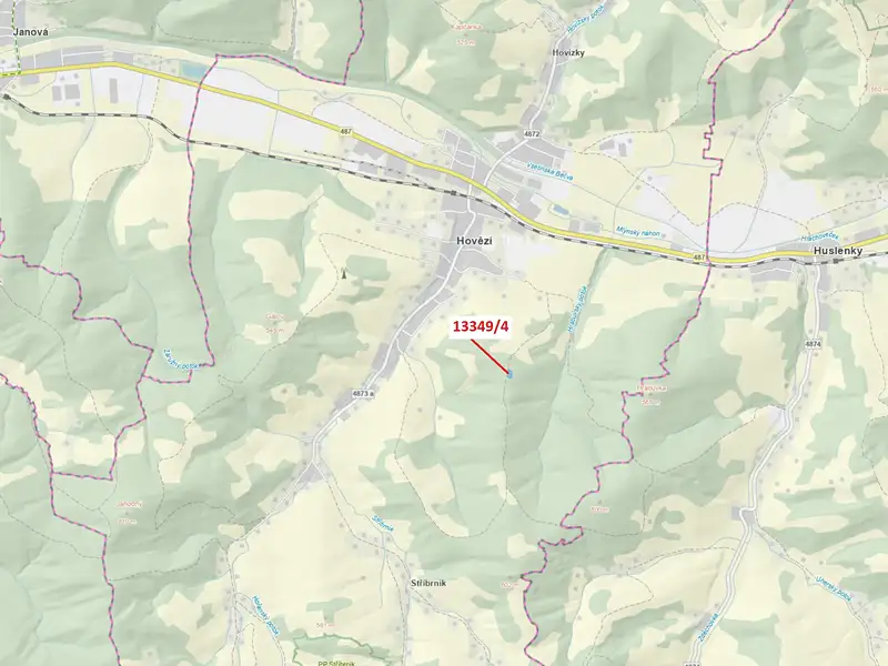 Dražba louky 1222 m², Hovězí – náhled fotky 1