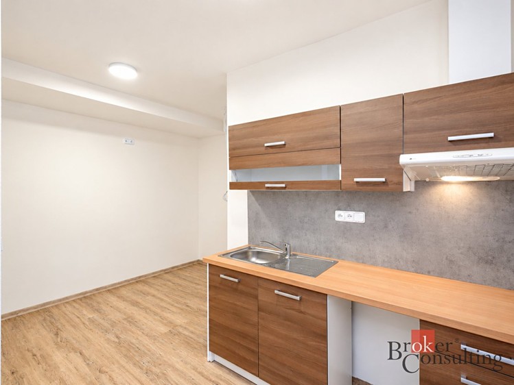 Wohnung 1+kk zur Miete, 28 m² (6 von 16)