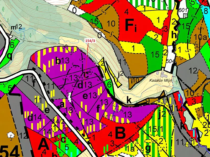 Dražba lesa 5060 m², Žižkovo Pole – náhled fotky 3