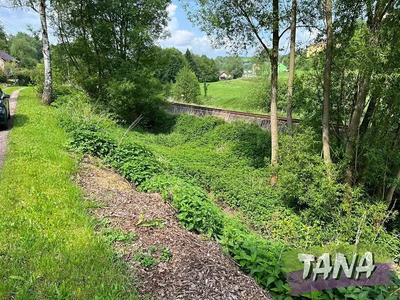Prodej stavebního pozemku 199 m², Chotěvice – náhled fotky 2