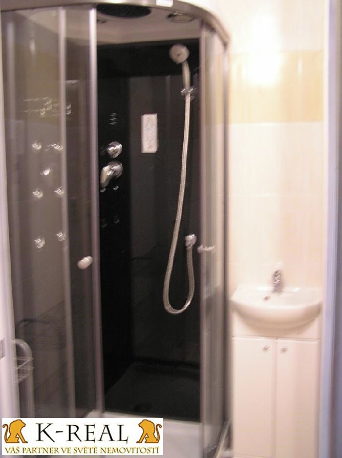 Pronájem bytu 2+1 47 m² – fotografie 5