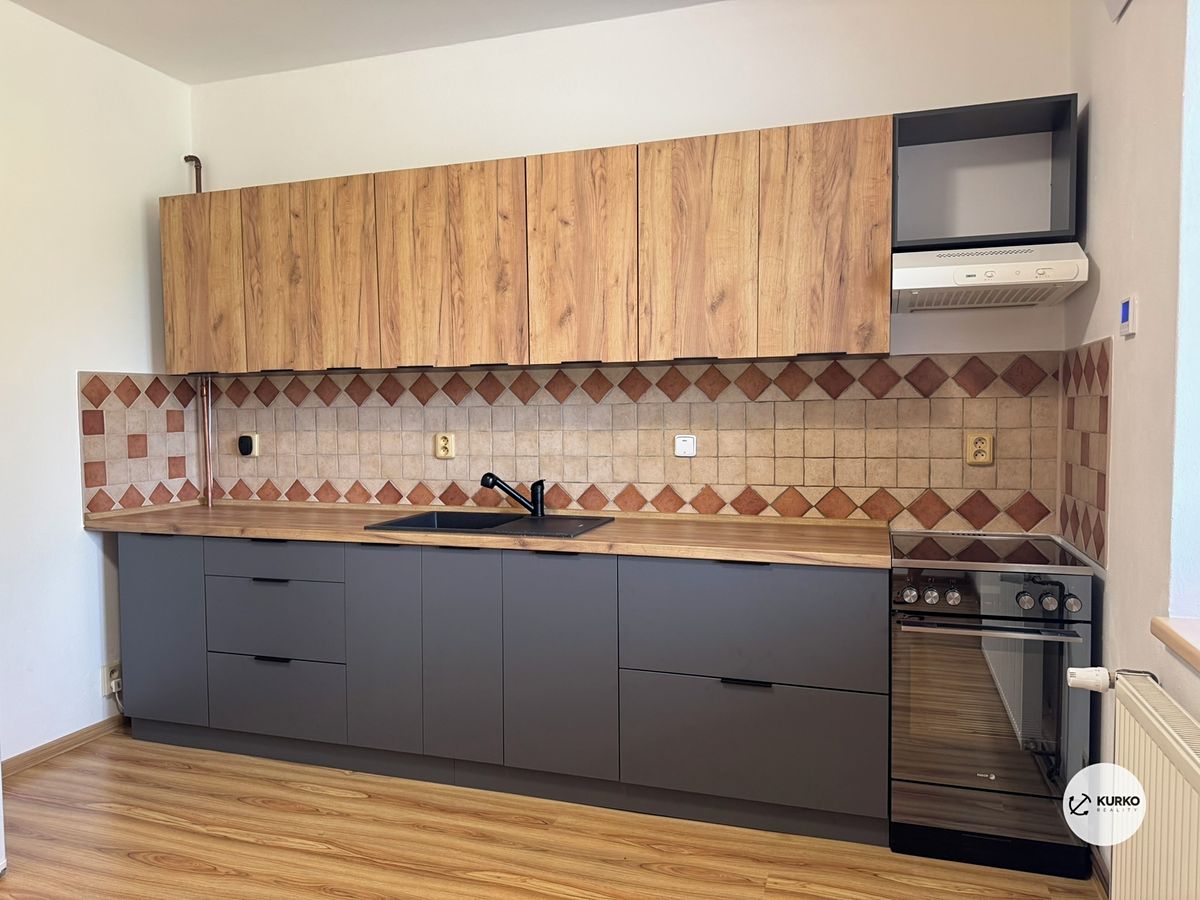 Pronájem bytu 1+1 44 m²