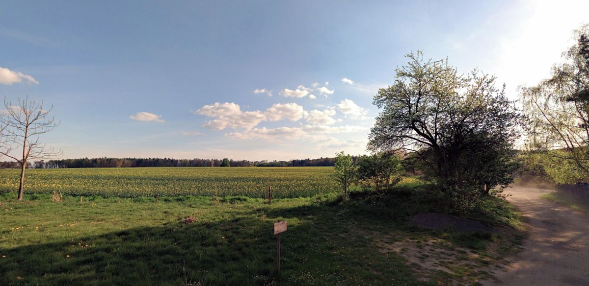 Prodej pole 110256 m²