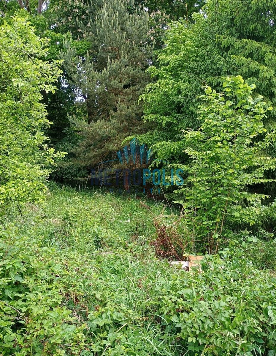 Prodej chaty 29 m², pozemek 471 m² – fotografie 5