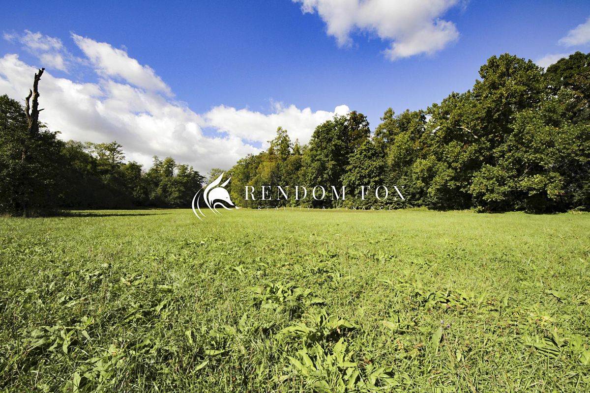 Prodej louky 28096 m²