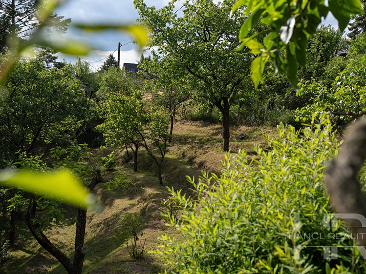 Ostatní