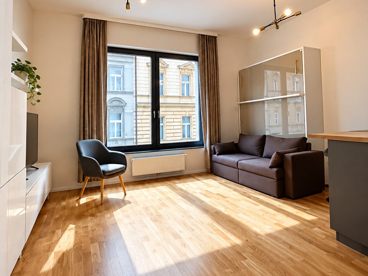 Квартира 1+kk в оренду, 30 м² (1 з 11)