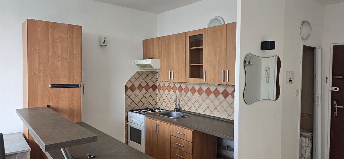Pronájem bytu 1+1 36 m²