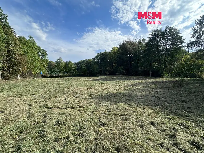Prodej stavebního pozemku 5378 m², Velemín – náhled fotky 1