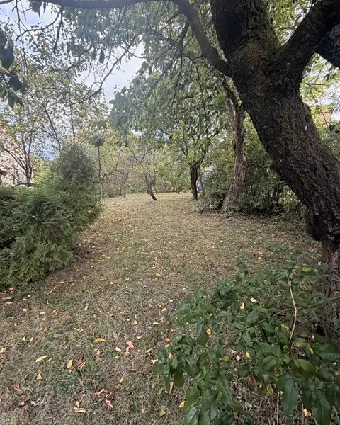 Prodej stavebního pozemku 764 m², Lhotka – náhled fotky 3