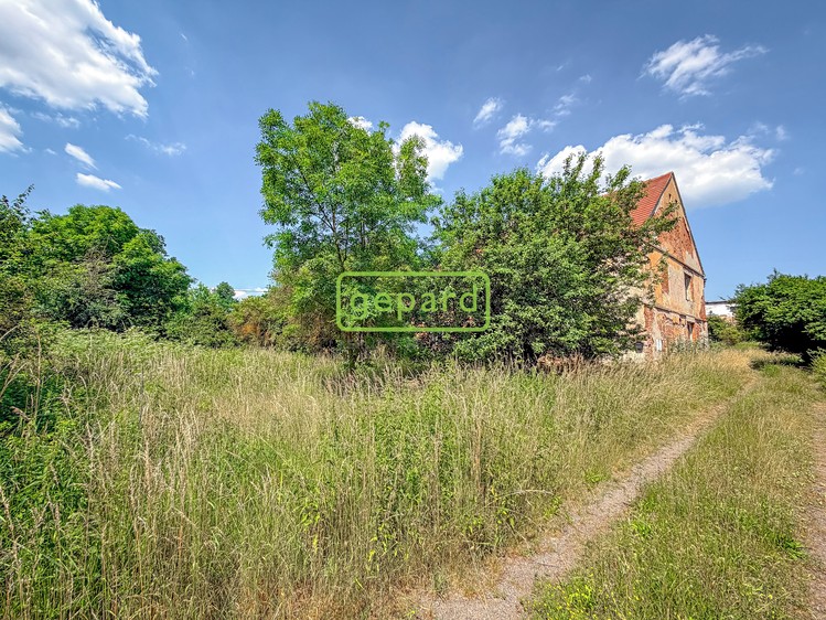 Grundstück zum Kauf, 1.142 m² (16 von 24)
