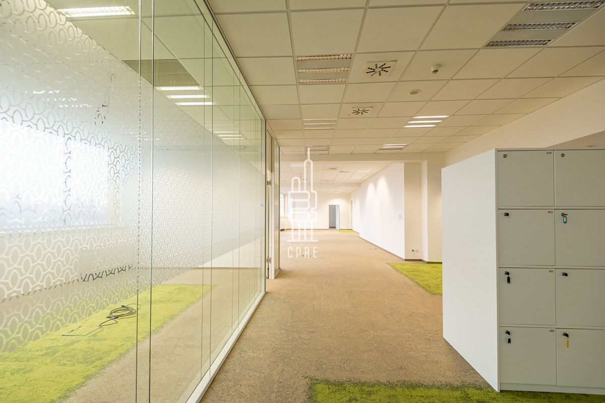 Pronájem kanceláře 490 m² – fotografie 2