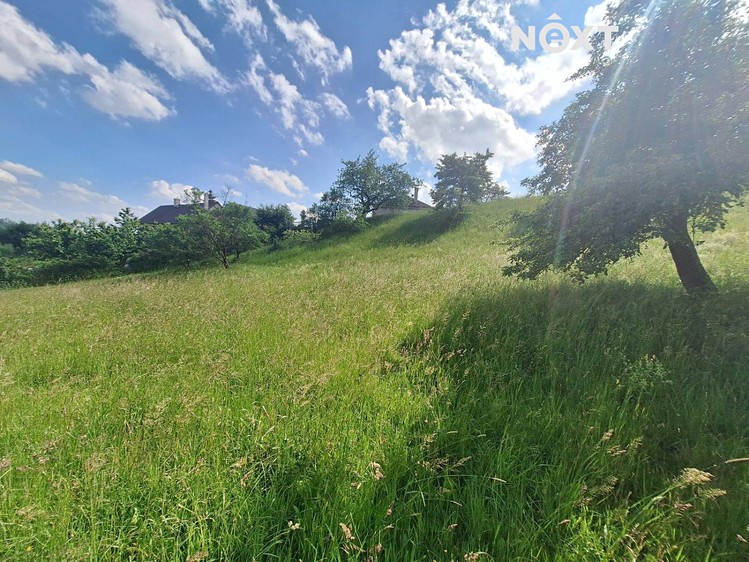 Grundstück zum Kauf, 2.318 m² (10 von 15)