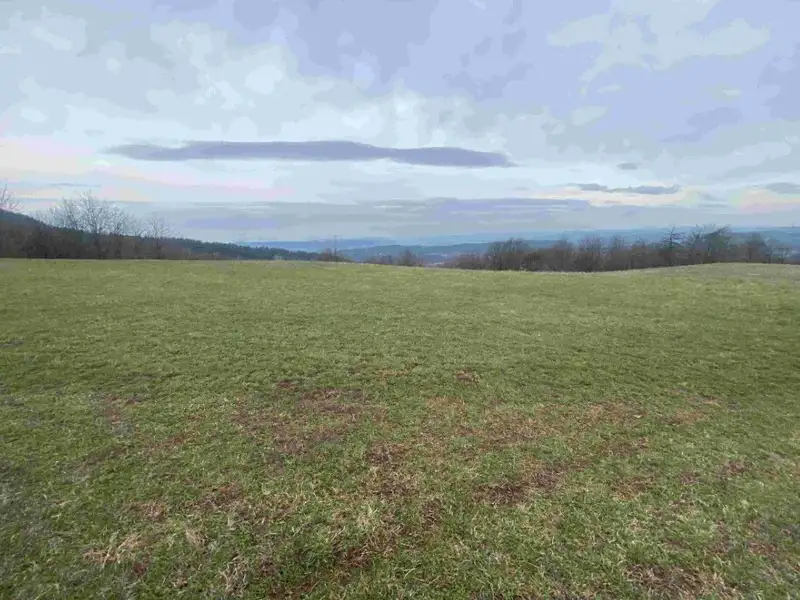 Dražba louky 14714 m², Mírová pod Kozákovem – náhled fotky 2