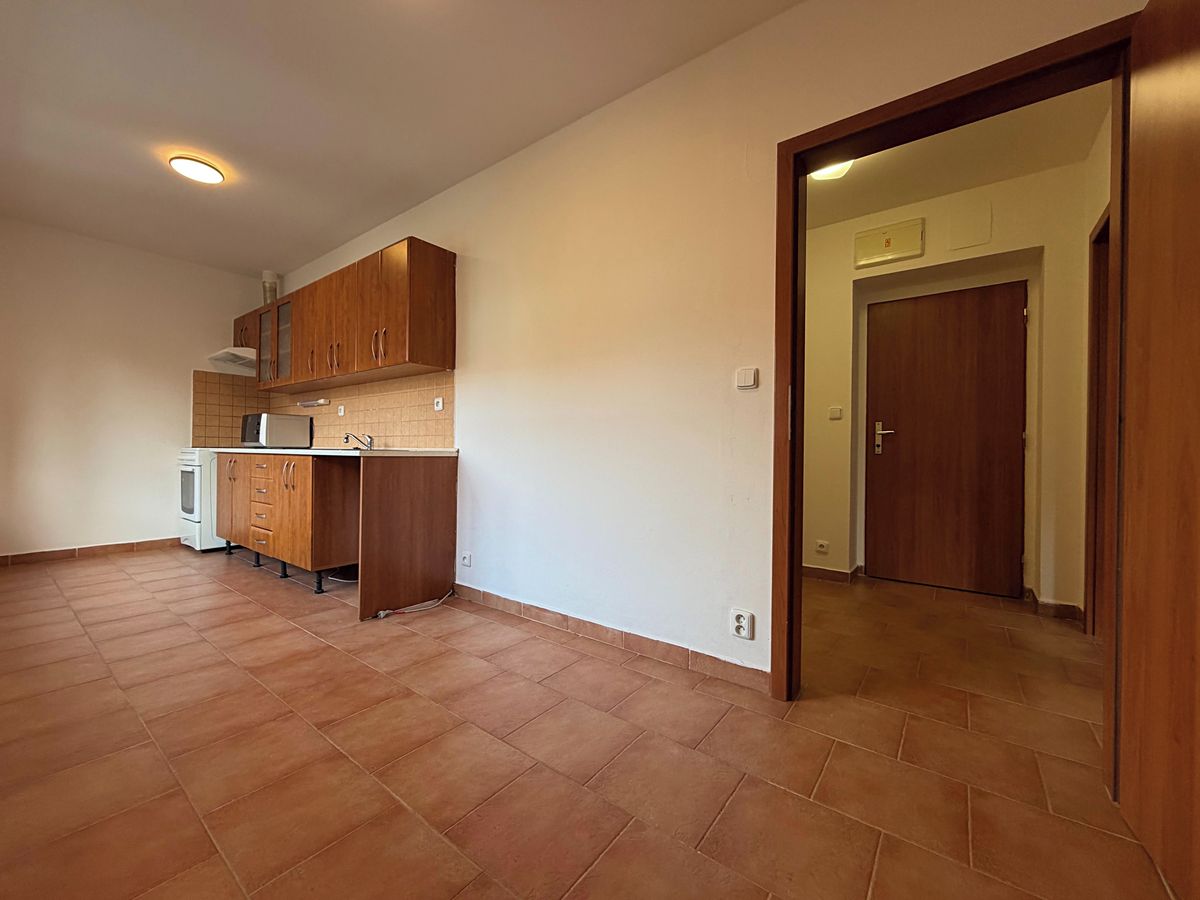 Pronájem bytu 1+1 45 m² – fotografie 3