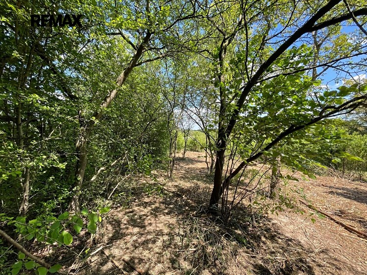Grundstück zur Miete, 851 m² (9 von 16)