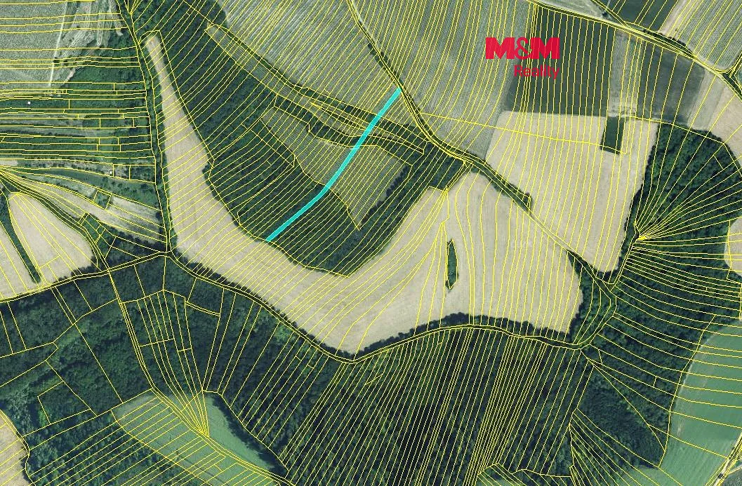 Prodej lesa 553 m²