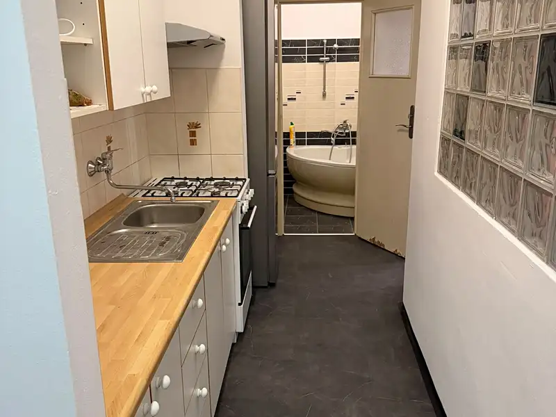 Pronájem bytu 2+1 49 m², Praha – náhled fotky 3