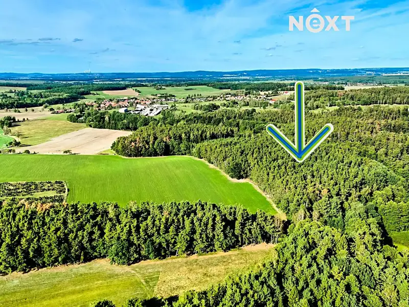 Prodej lesa 13404 m², Lipí – náhled fotky 2